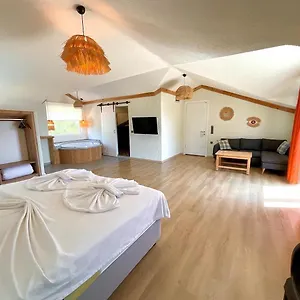 https://gunes-boutique-otel.aegeanhotels.net